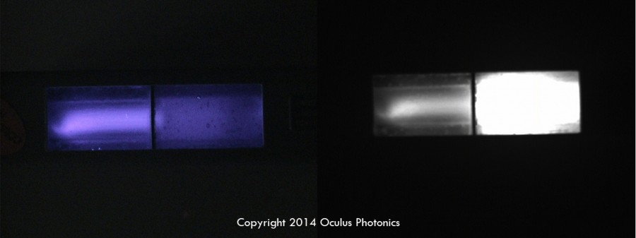 Watermark Raytech Lamp Vis-UV