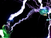 Burning Man 2010 - photo courtesy of Christopher Robin Blum