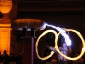 photo courtesy of Amy Snyder