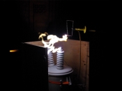 photo courtesy of Chuck Mignaccio