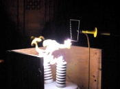 photo courtesy of Chuck Mignaccio